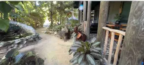 Coco Africa House ... A Private Forest Getaway - Image 2
