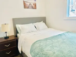 Entire Apartment- Cozy 1Bdrm - Image 3