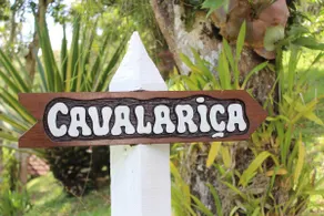 Wonderful place for families and friends! - Image 3