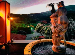 The terrace overlooking the vineyard - Image 4