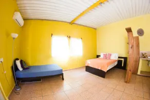 Studio Pachita - Image 4