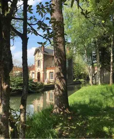 On the island: an enchanting place to ”pause” - Image 2