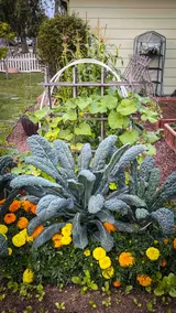 Family Friendly Farmhouse - Image 2