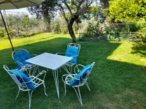 Garden - Image 2
