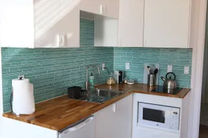 Contemporary Bainbridge Island Apartment - Image 4