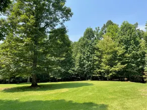 Cabana Too at Smith Mountain Lake - Image 3