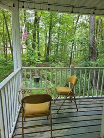 Cheerful 3-bedroom, 2 full-bath cottage with DNR launch lake access on Chippewa Lake. - Image 3