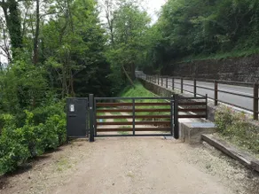 Le Rive in the woods - Image 2