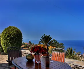 El Naranjo Viejo House - Image 3