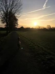A feel-good place near Münster - Image 5