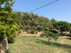 L'Oliveraie a La Londe Les Maures - Image 3