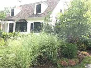 Luxe Haus of Love—Renovated 1938 Cape Cod —Heated FLRS - Image 2