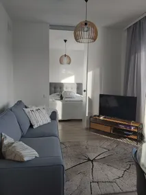 Top floor apartment with roof terrace - Image 2