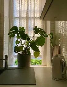 Spacious Studio Flat Next To Hyde Park & Transport - Image 2