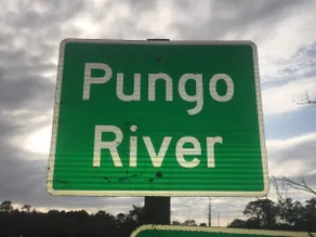 Peace on the Pungo Guest House - Image 2