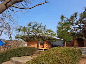 Sindoh Mud House Seorilak - Image 3