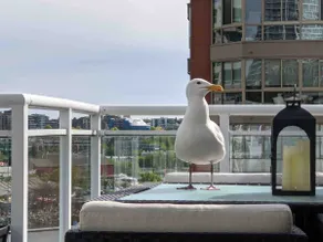 Penthouse with 3 decks w/ water views on Beach /Seawall - Image 3
