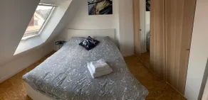 Gîte de Tournai - les beaux-arts - Image 3
