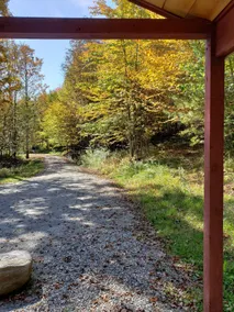 Unwind Amongst the Trees - 15 miles from Stowe - Image 2