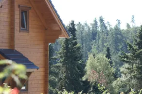 Modern, comfortable vacation home with large garden and veranda, between Winterberg and Willingen - Image 5