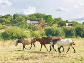 Moinho Novo Estate - Image 2