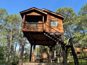 Treehouse in Mazamitla forest - Image 2