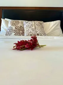 Hotel La Vista Azul - Image 2