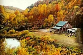 Cozy secluded cabin with hot tub + cold plunge. - Image 5