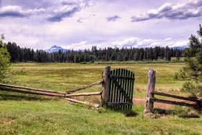 Aspen Cabin at House on Metolius - Image 4