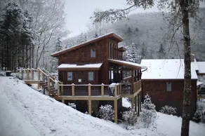 HuskyHideaway: Dogs, Mtn Views, Fireplace! - Image 2
