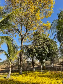 Sítio Arara Azul - Pool and Nature ✓ - Image 4
