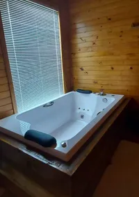 Recanto Das Araucárias Cabin - Image 5