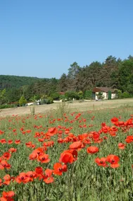 Gite des Grands Chemins bas - Image 5