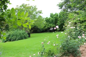Marlow House Garden Studio Canowindra - Image 3