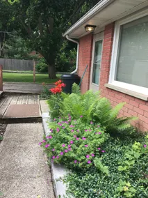 The Duplex Garden House - Image 5