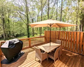 Serene Savannah River Cabin! GATED with breakfast! - Image 4