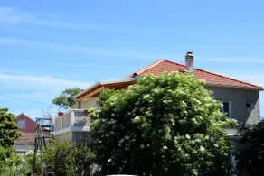 House surrounded with trees and gardens. - Image 4