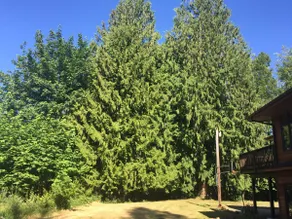 Cedar Getaway - Image 3