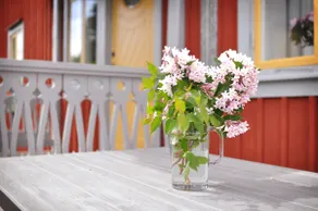 Fully renovated charming guest house in a Småland idyll. - Image 3