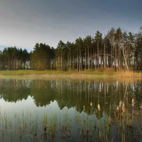 Lake Luna Metamora - Image 5