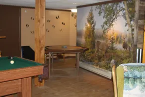 4 Bedroom in Poconos near Jim Thorpe & Beltzville - Image 2