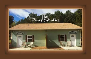 The Pines Studio South Near the Buffalo River - Image 3