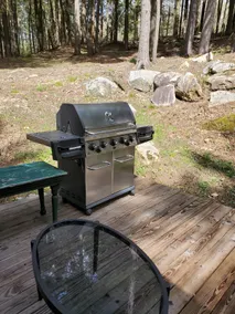 Quiet Lake Front Cabin - Image 5