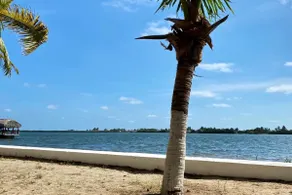 Las Palmeras - Image 2