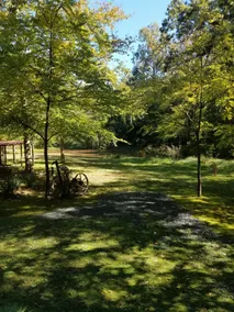 Cabin on Robbins Nest Pond - Image 5