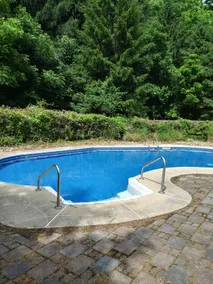 Mansion/ In-ground Pool near Mt Penn - Image 3