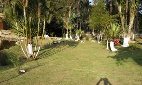 Farmhouse between São Lourenço da Serra and Juquitiba/SP - Image 4
