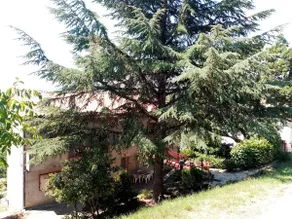 Garden Vacation Home - Image 3