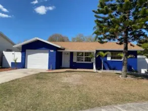 Clearwater Vacation Paradise Home Pool & Hot Tub, Outside Bar- TV, Pets welcome - Image 4