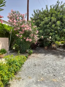 Granny's house - Image 3
